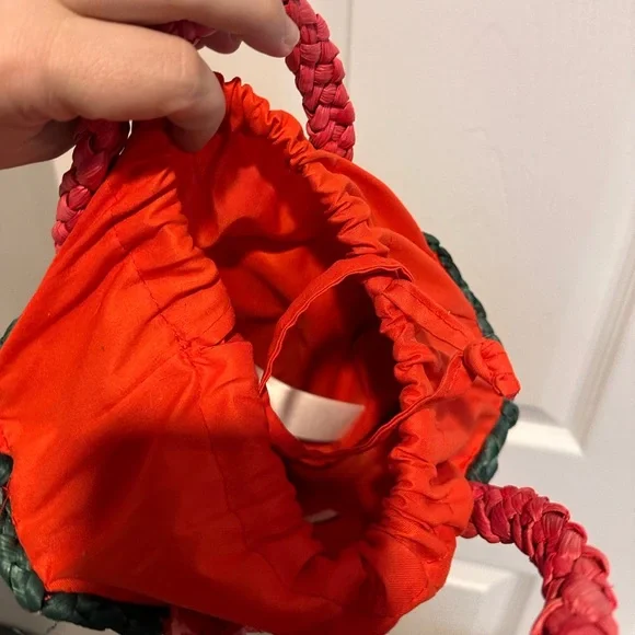 ๐ NWT Topshop watermelon handbag ๐ - Picture 9 of 14